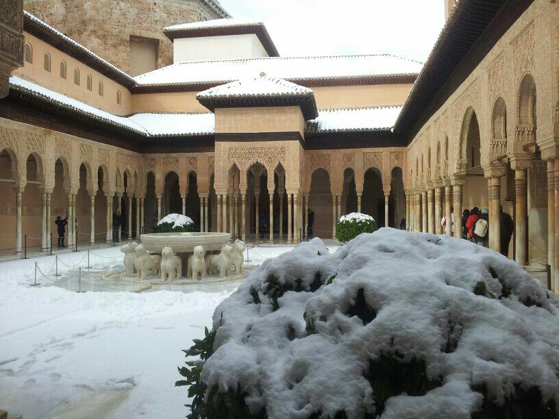 visita con guia a la alhambra en granada